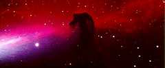 Horsehead thumbnail