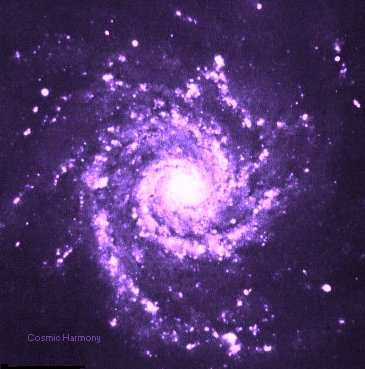 M74pur.jpg