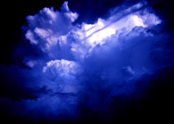 The Vast Beauty of the Mother's Handiwork