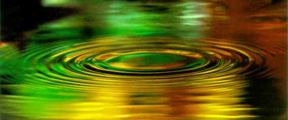 Ripple, Japanese Gardens Portland, Oregon (Michael Durnham)