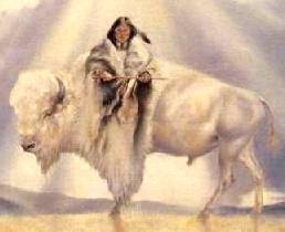 White Buffalo Medicine Woman