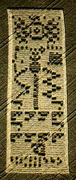 Chilbolton Message Crop Circle