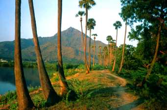 Beauty of the Arunachala Hill Region